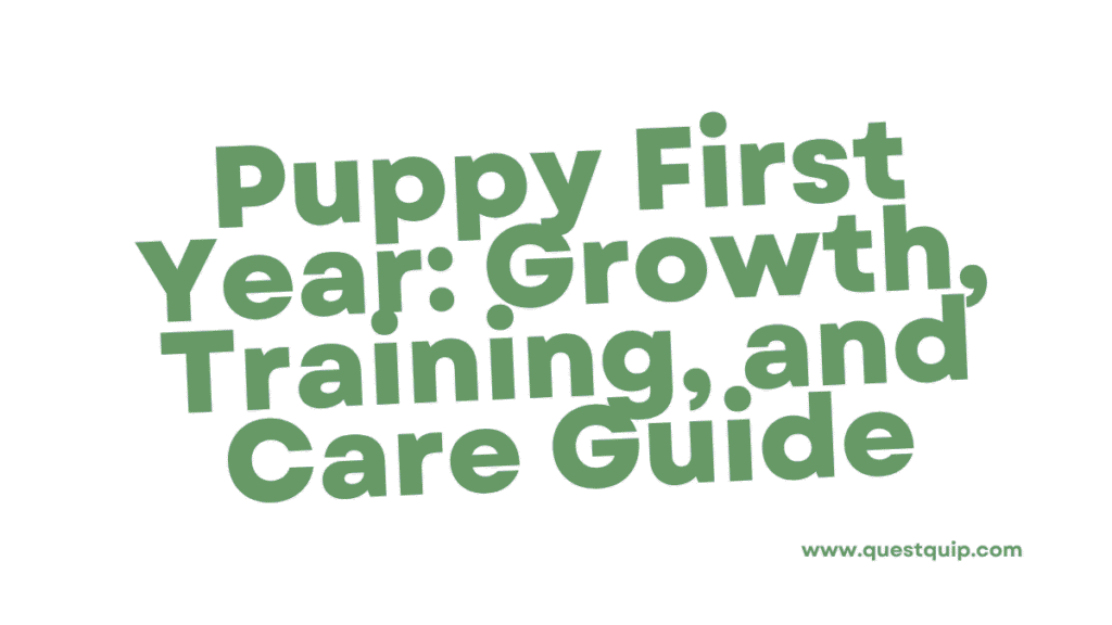 Puppy First Year: Complete Month-by-Month Development and Care Guide 1 Puppy First Year