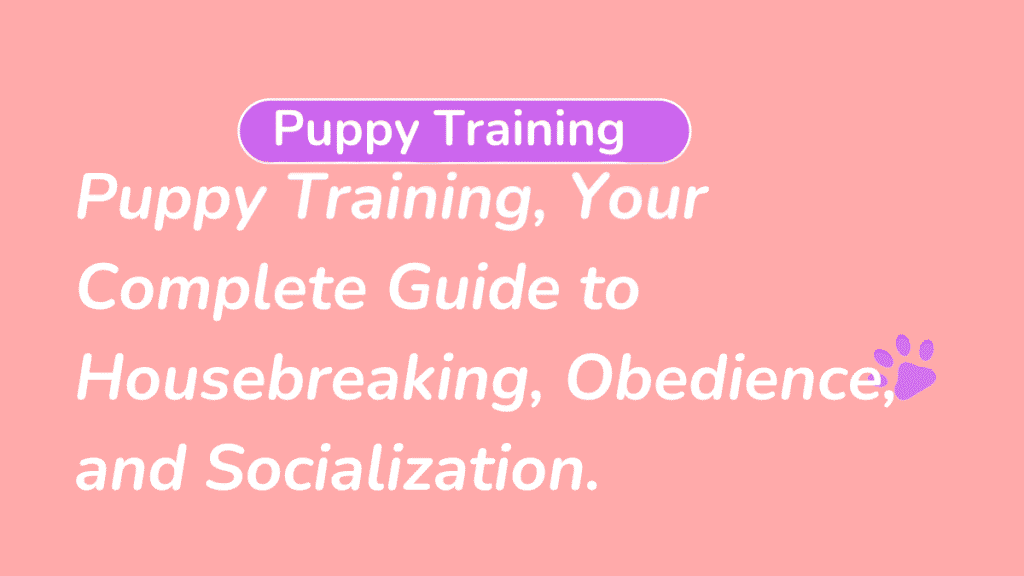 The Complete Puppy Training Foundations & Basic Commands Guide: Setting Your Dog Up for Lifelong Success 1 Puppy Training