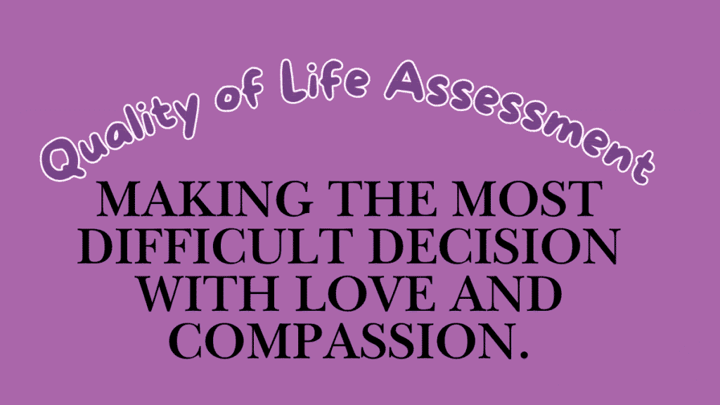 Quality of Life Assessment