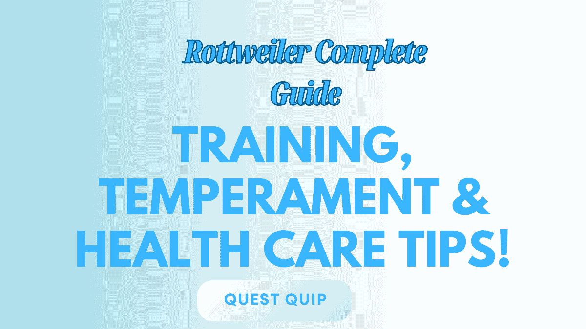 Rottweiler Complete Guide