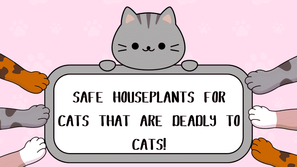 Safe Houseplants for Cats