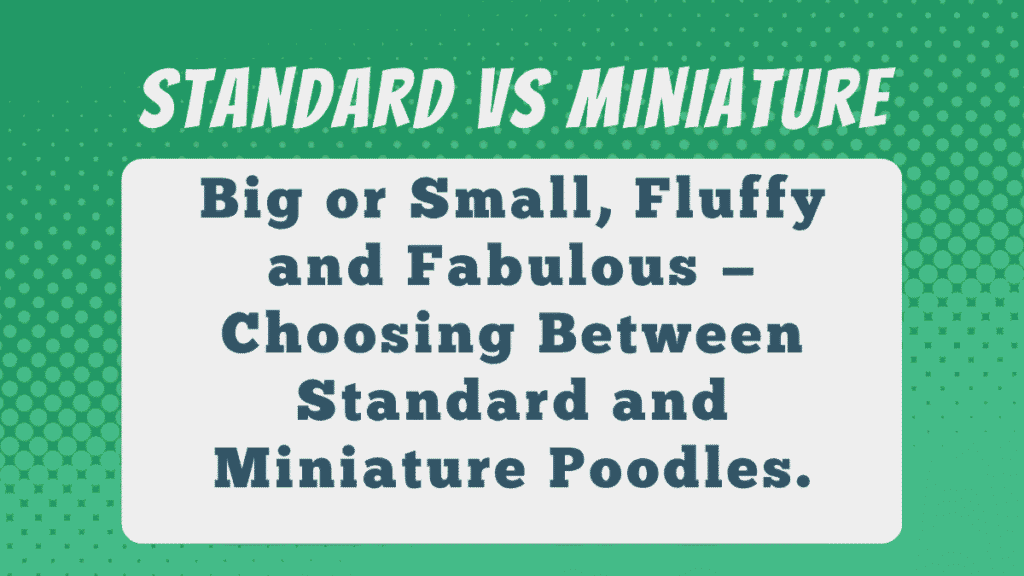 Standard vs Miniature
