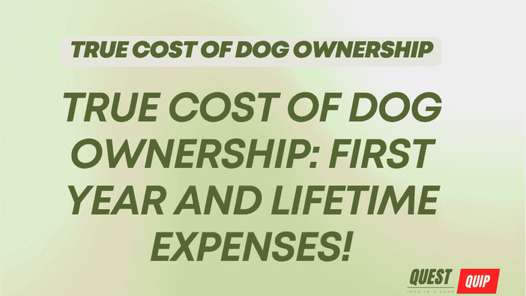 True Cost of Dog Ownership