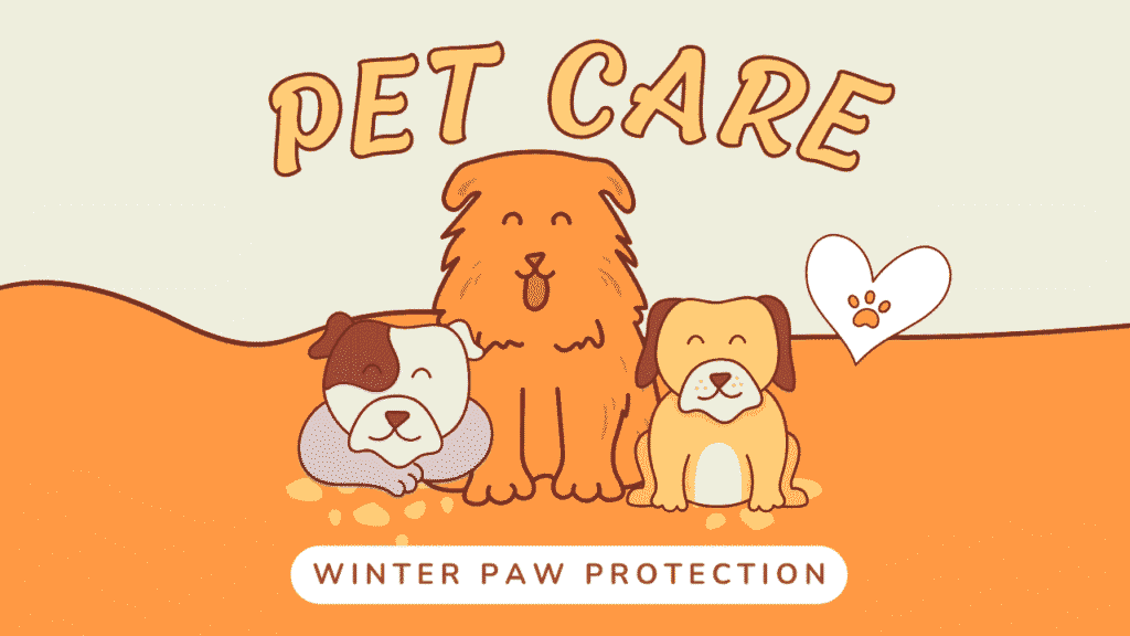 Winter Paw Protection