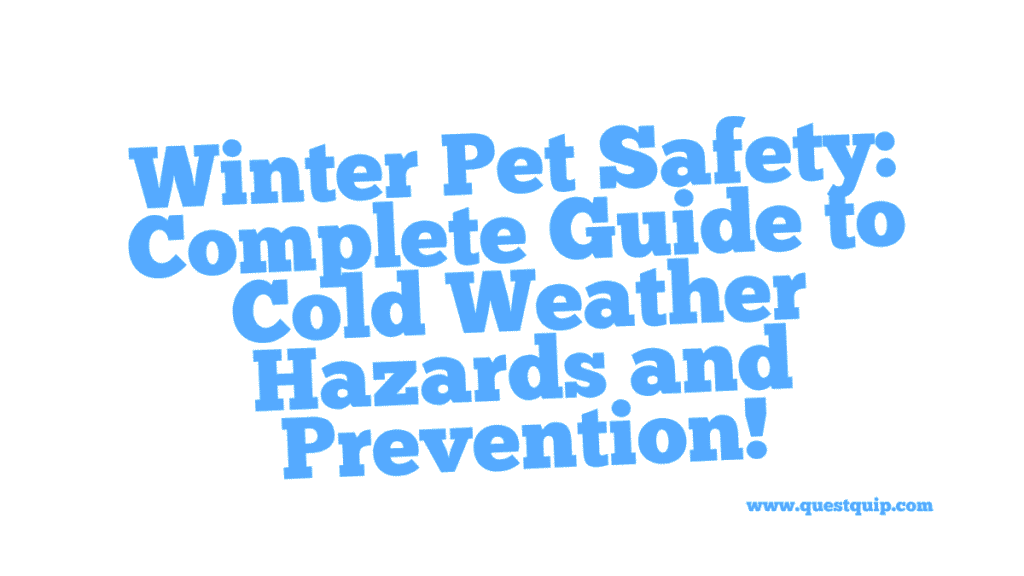Winter Pet Safety: Complete Guide to Cold Weather Hazards and Prevention 1 Winter Pet Safety
