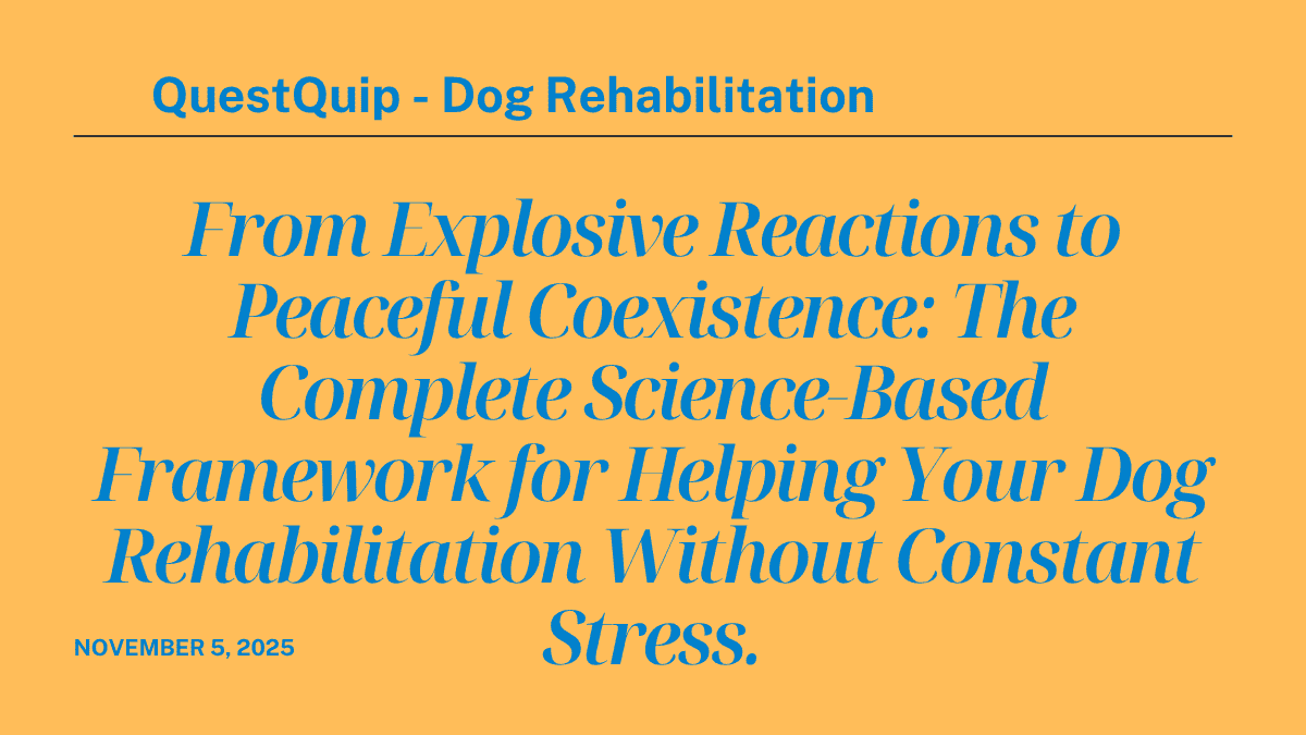 Dog Rehabilitation