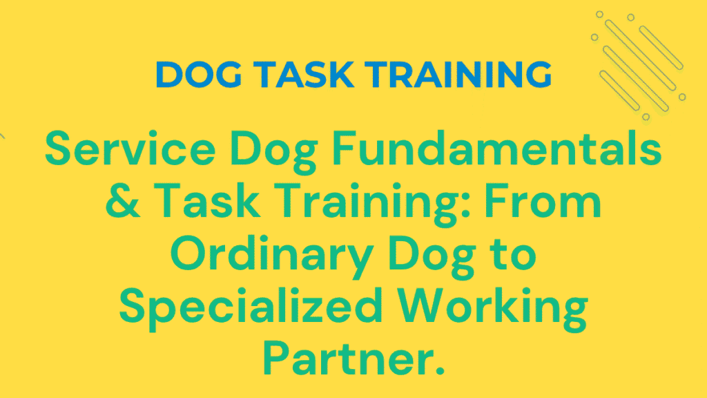 Dog Task Training