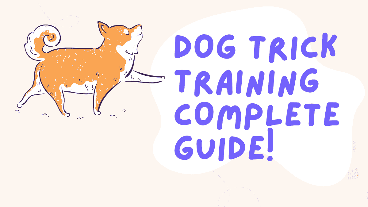 Dog Trick Training: Complete Guide to Teaching Impressive Tricks & Advanced Skills 1 Dog Trick Training
