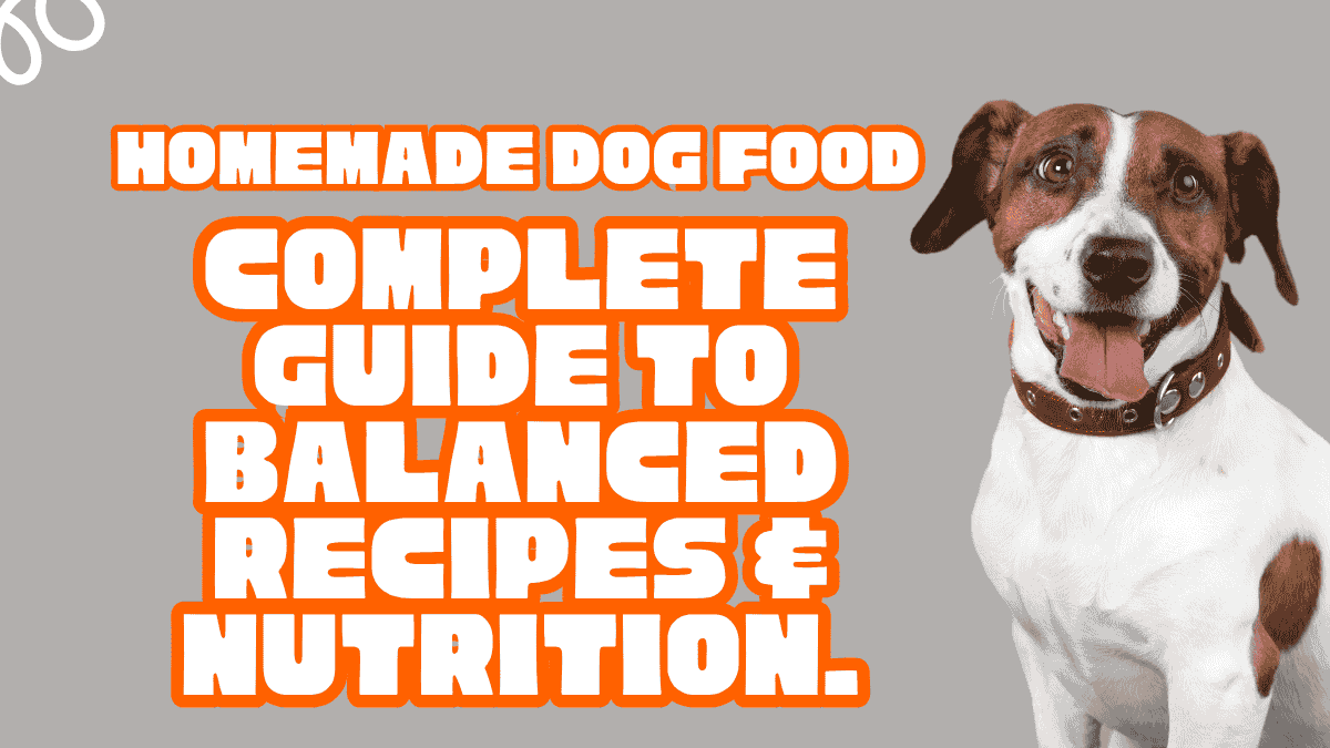 Homemade Dog Food: Complete Guide to Balanced Recipes & Nutrition 1 Homemade Dog Food