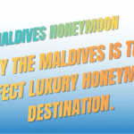 Maldives honeymoon