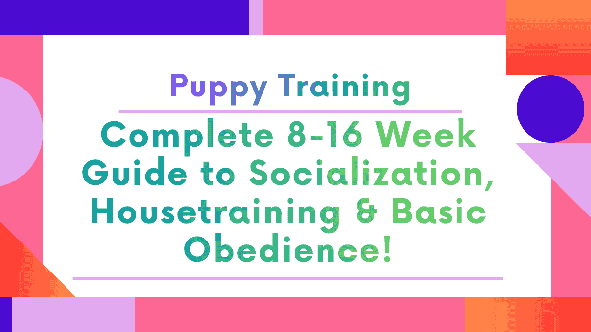 Puppy Training