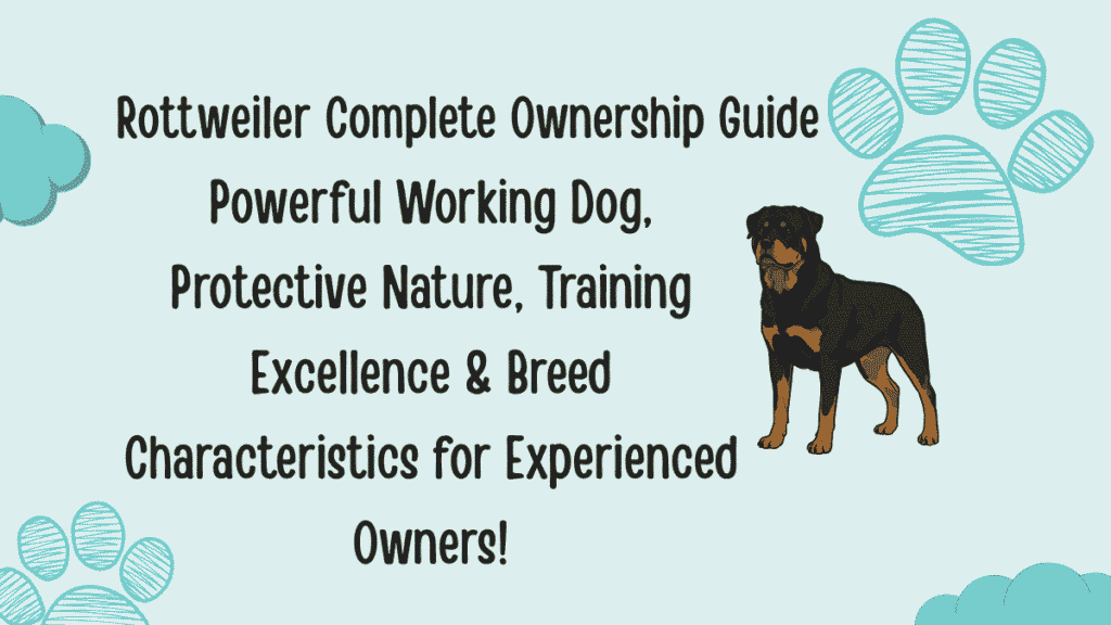 Rottweiler Complete Ownership Guide