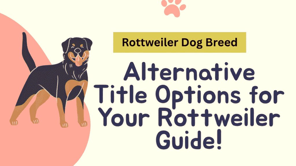 Rottweiler Dog Breed