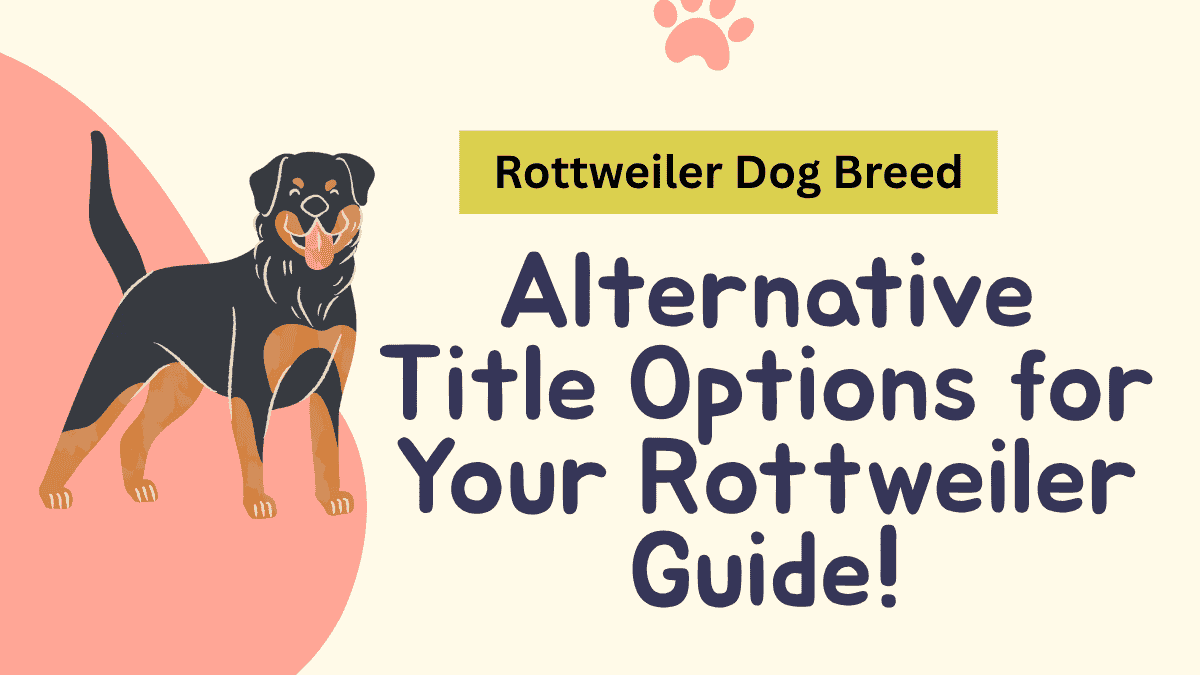 Rottweiler Dog Breed