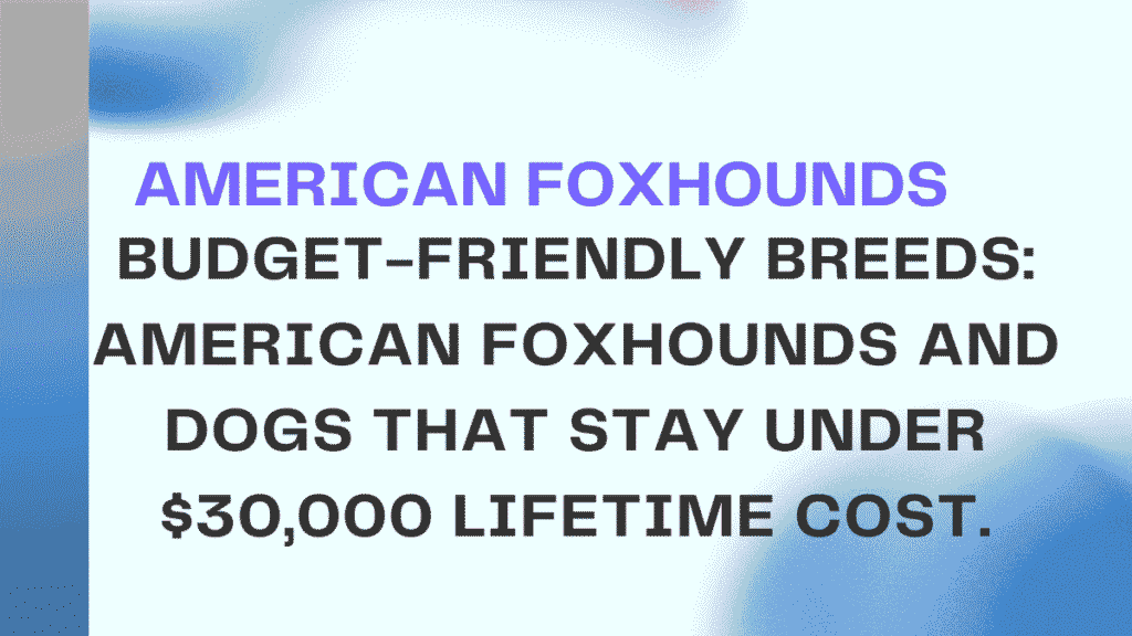 American Foxhounds