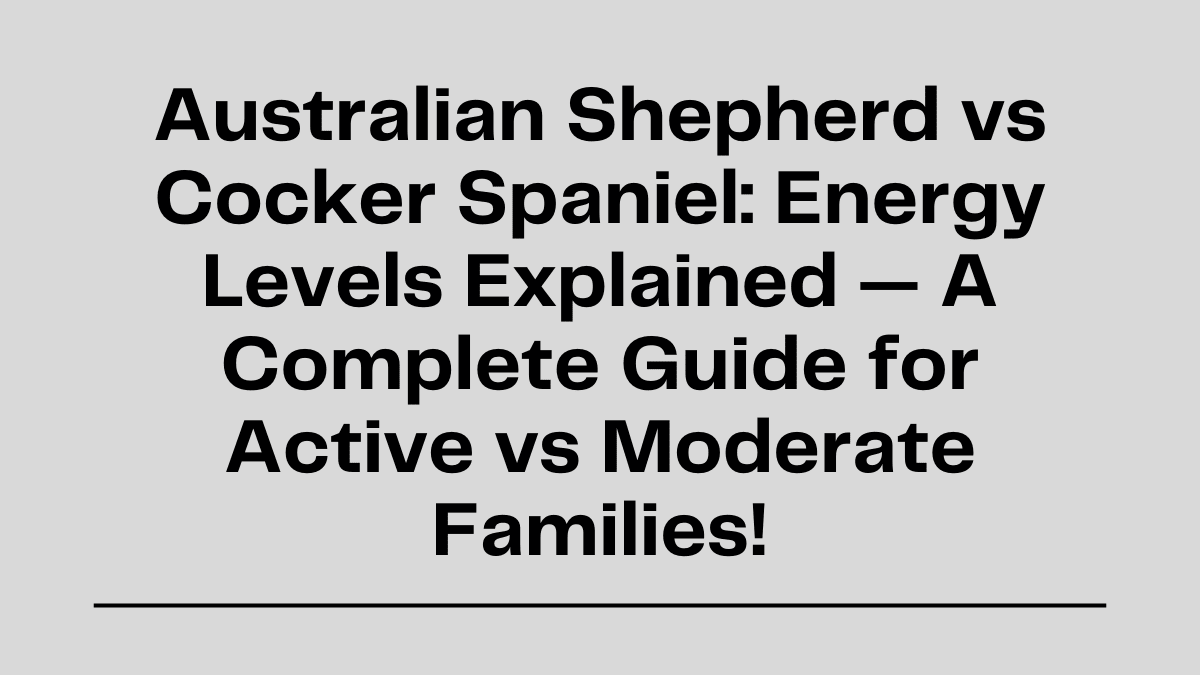 Australian Shepherd vs Cocker Spaniel