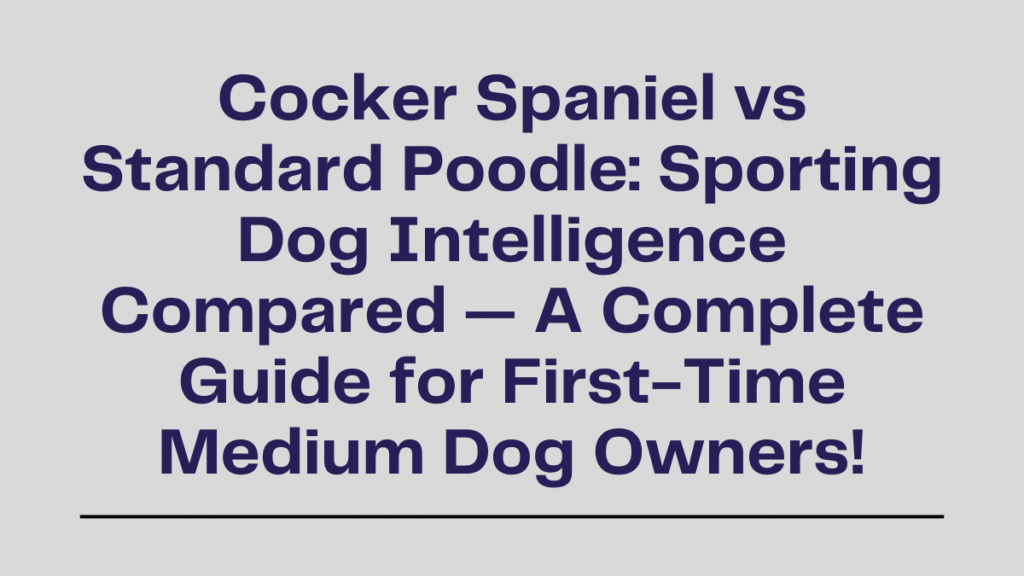 Cocker Spaniel vs Standard Poodle