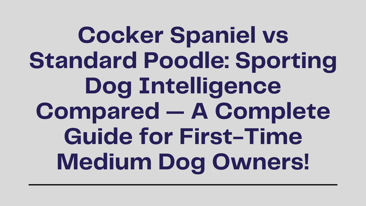 Cocker Spaniel vs Standard Poodle