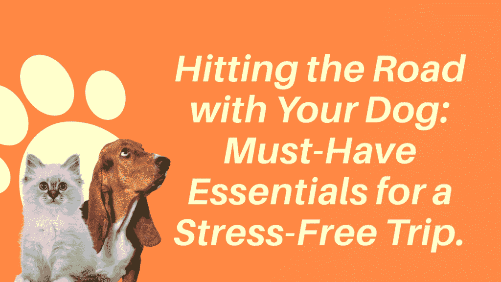 Dog-Friendly Road Trip Essentials