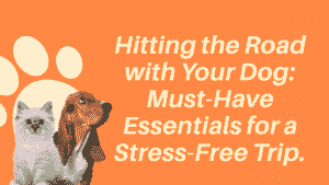 Dog-Friendly Road Trip Essentials