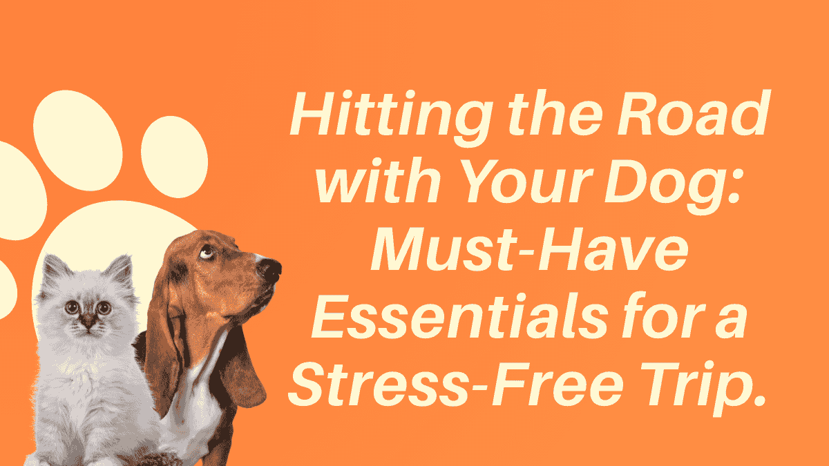 Dog-Friendly Road Trip Essentials