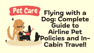 Flying with a Dog