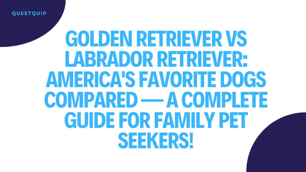 Golden Retriever vs Labrador Retriever