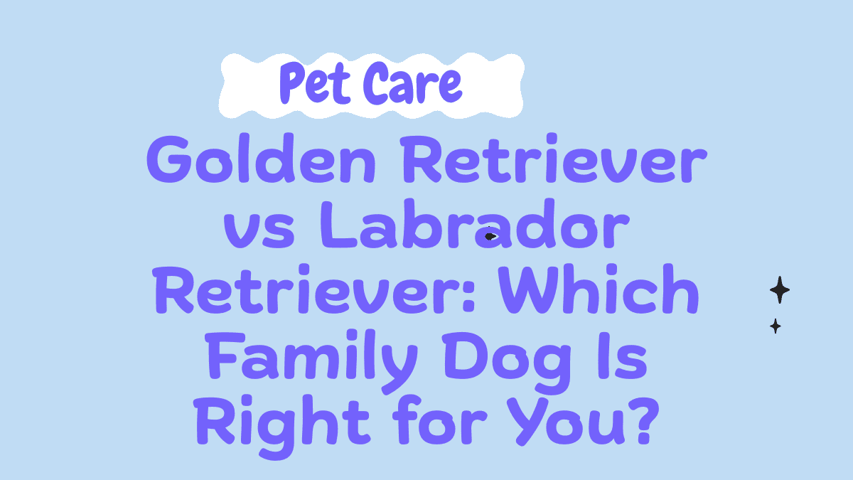 Golden Retriever-vs-Labrador Retriever