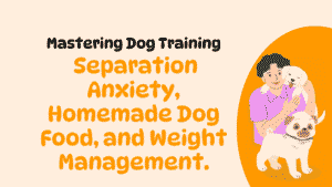 Mastering Dog Training