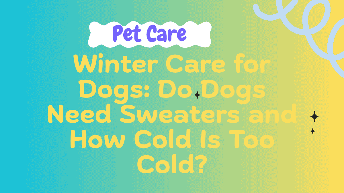 Winter Care for Dogs