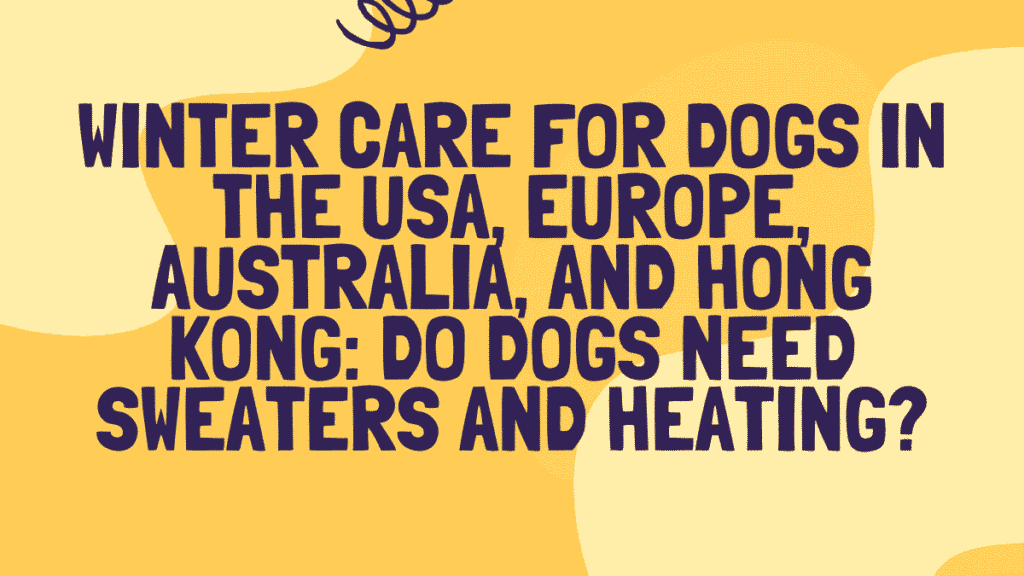 Winter Care for Dogs