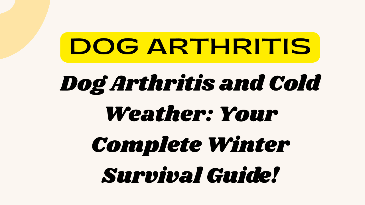 Dog Arthritis