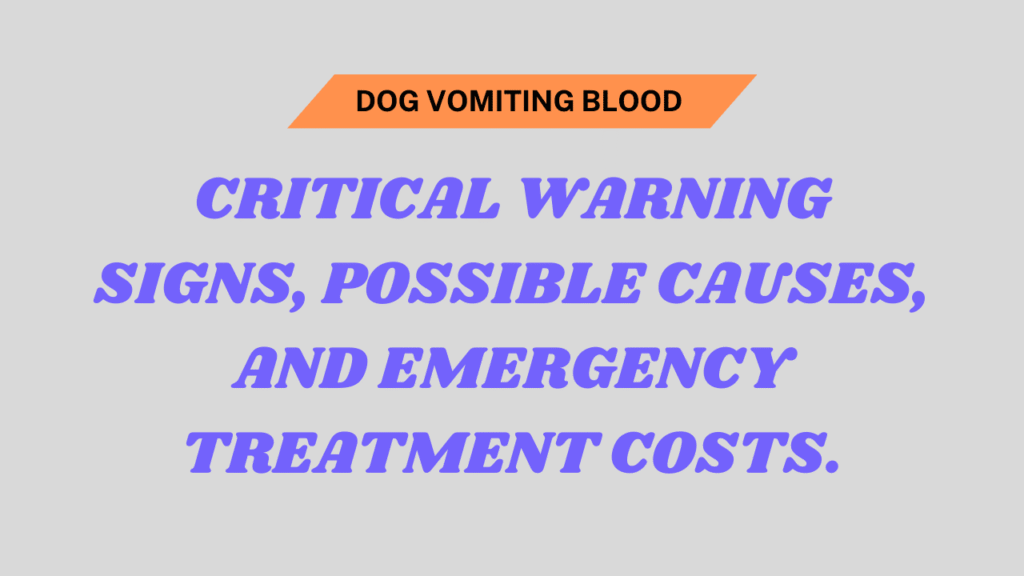 Dog Vomiting Blood