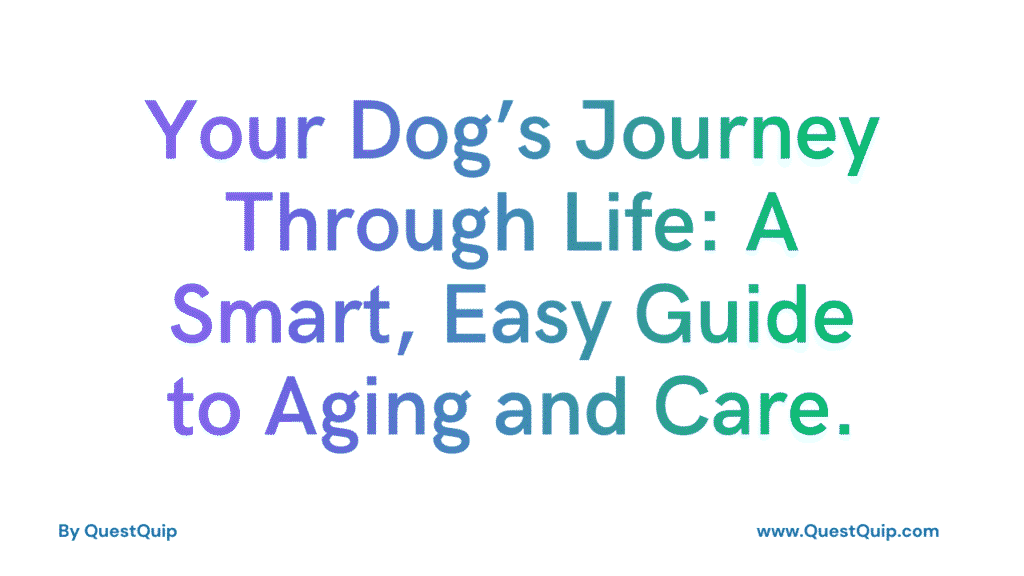 Dog’s Journey Through Life