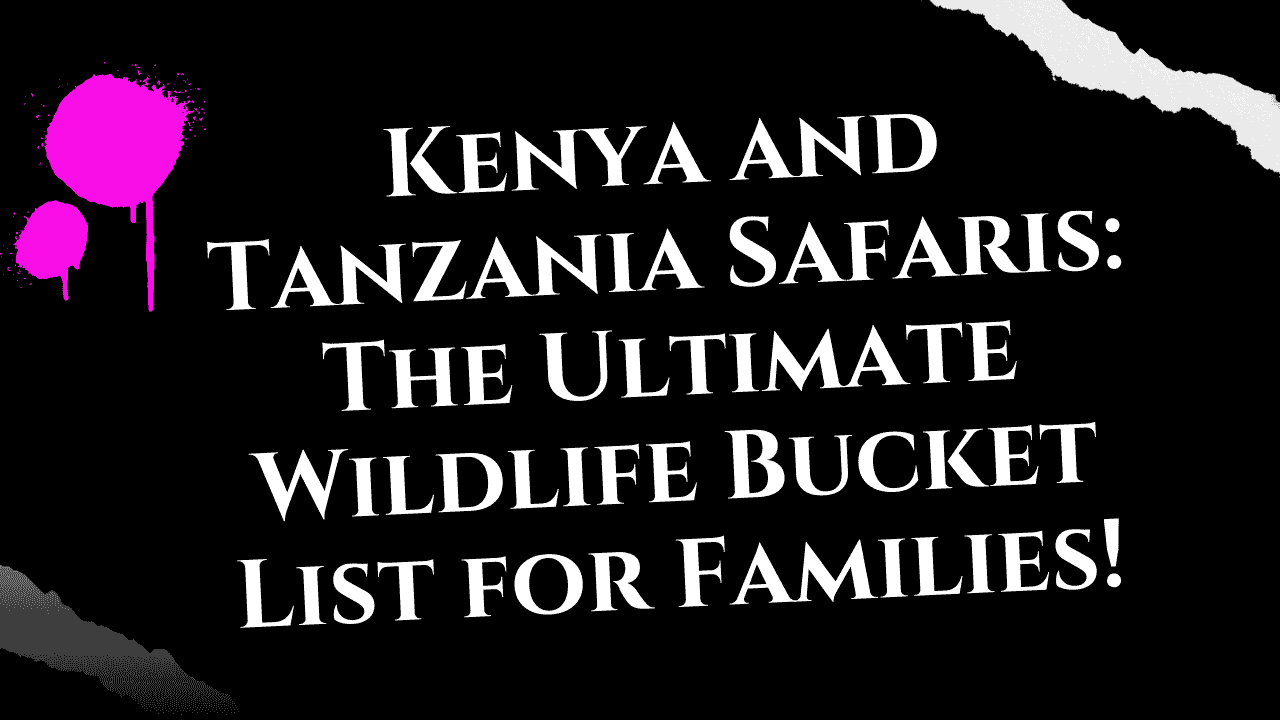 Kenya and Tanzania Safaris