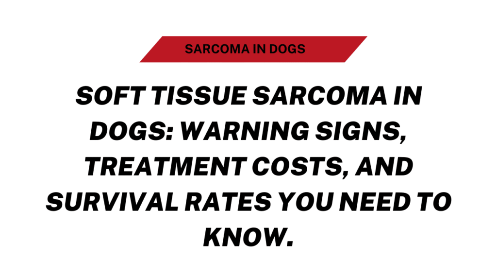 Sarcoma in Dogs