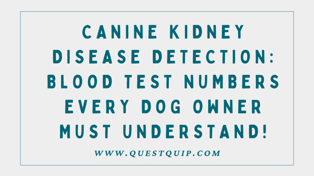 Canine Kidney Disease