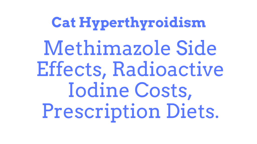 Cat Hyperthyroidism