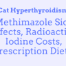 Cat Hyperthyroidism