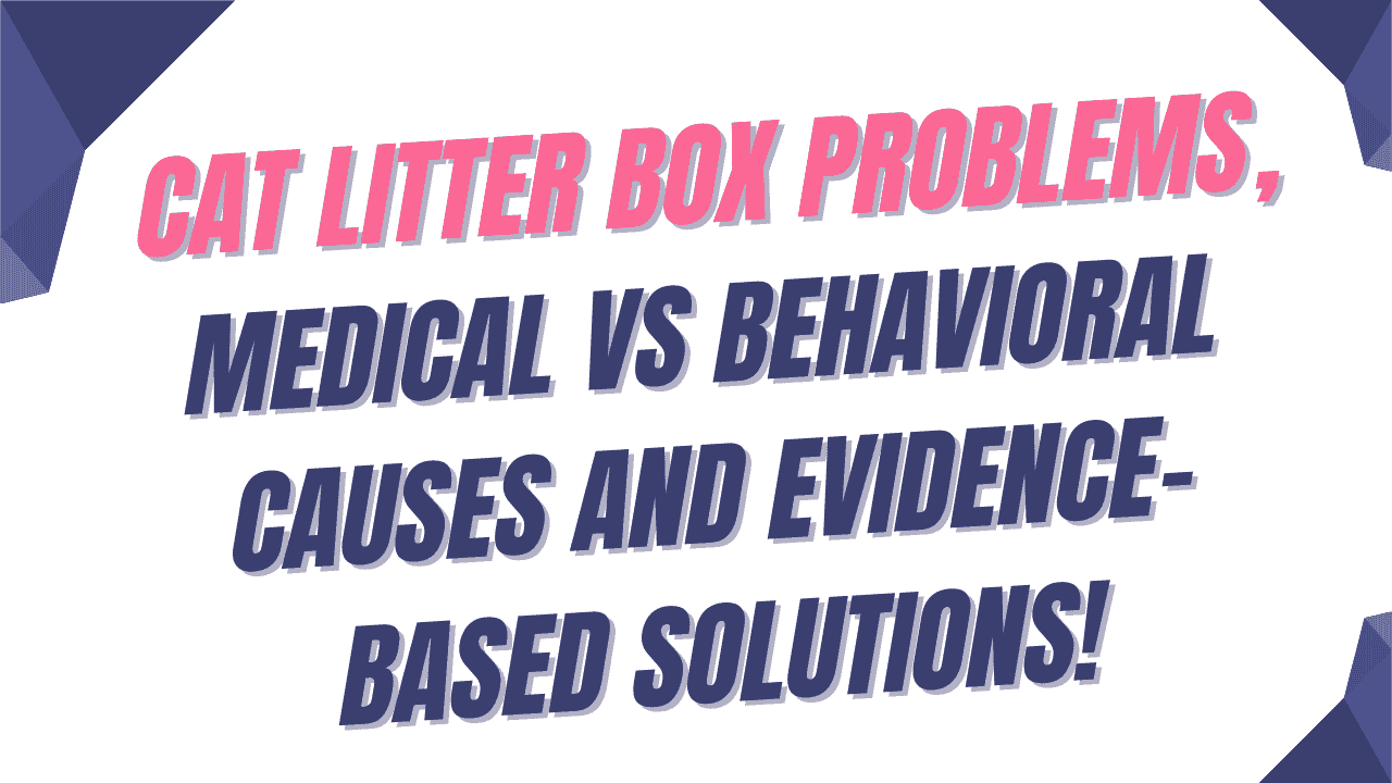 Cat Litter Box Problems