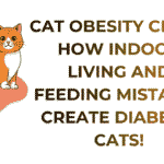 Cat Obesity Crisis