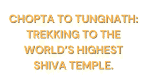 Chopta to Tungnath
