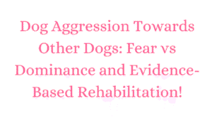 Dog Aggression