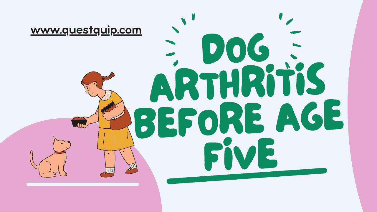 Dog Arthritis
