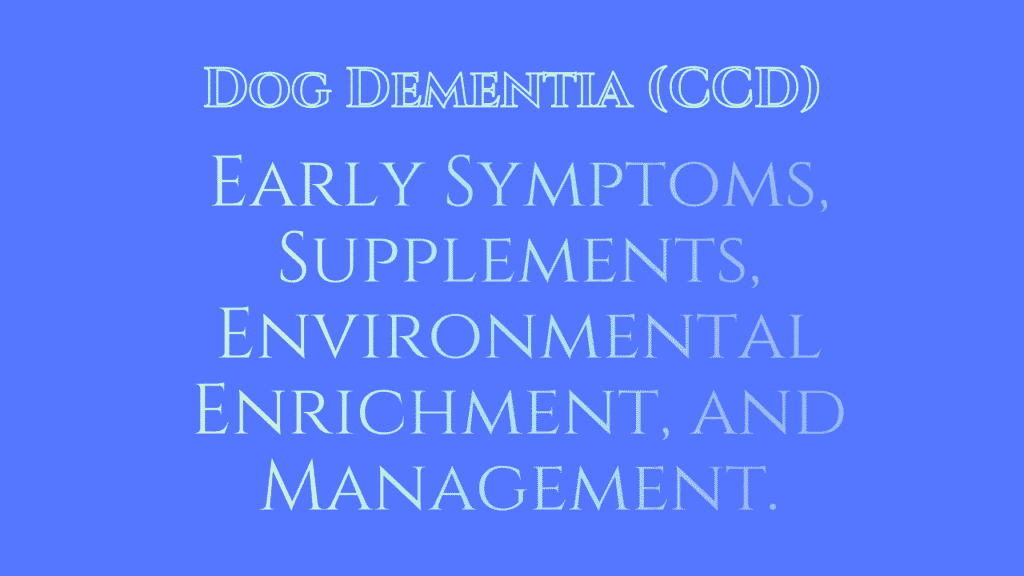 Dog Dementia