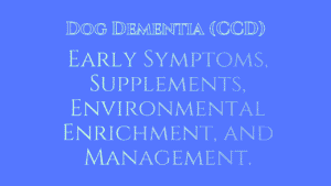 Dog Dementia