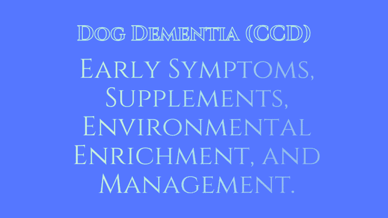 Dog Dementia
