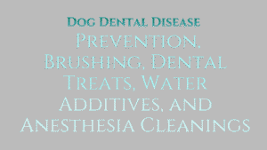Dog Dental Disease