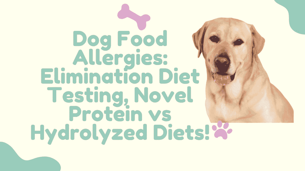 Dog Food Allergies