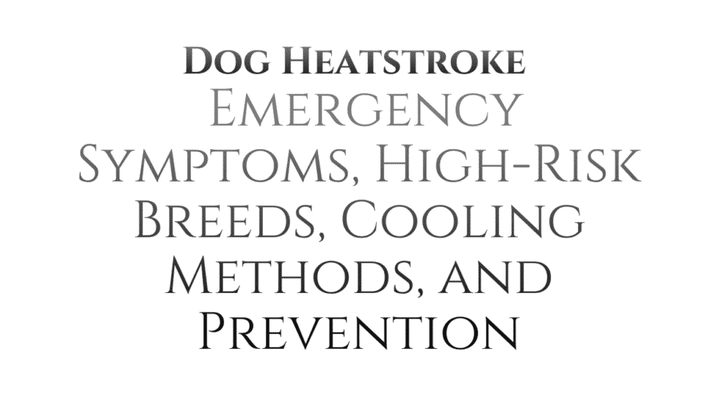 Dog Heatstroke